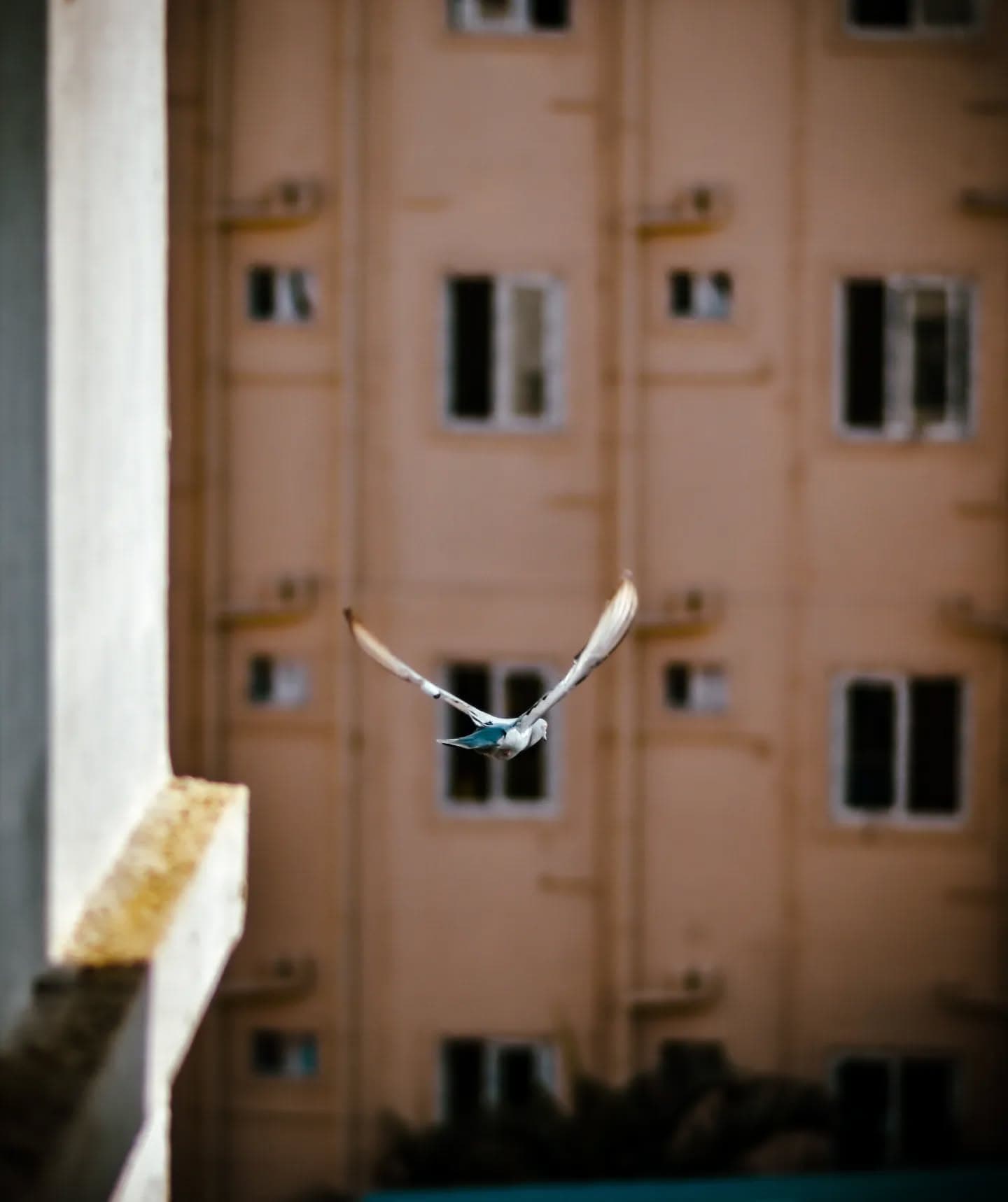 Photography is a way of feeling, of touching, of loving. What you have caught on film is captured fo