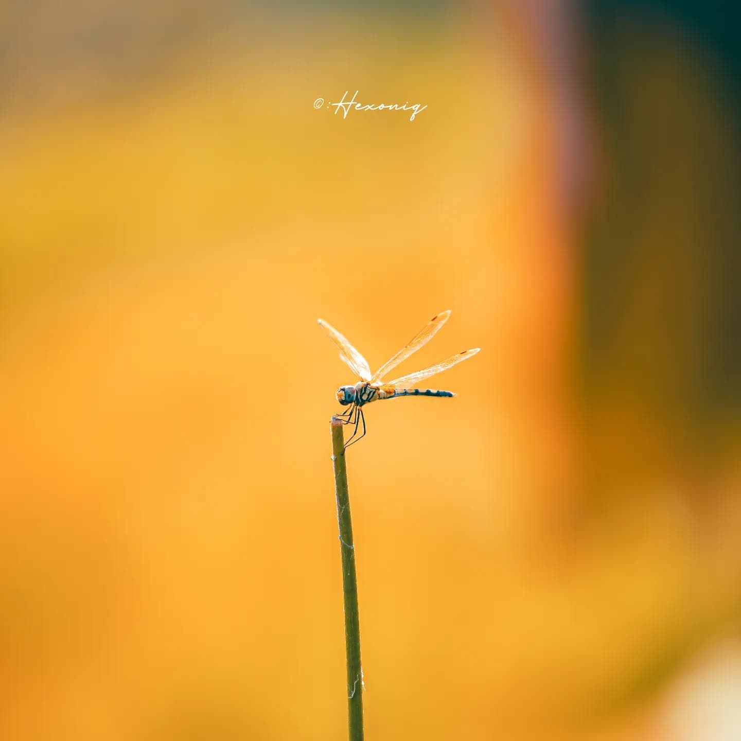 Photography is an art of teleporting the past into the future