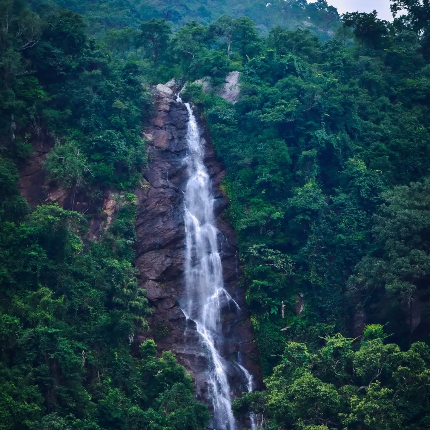 "A strong person and a Water fall always crave their own path "