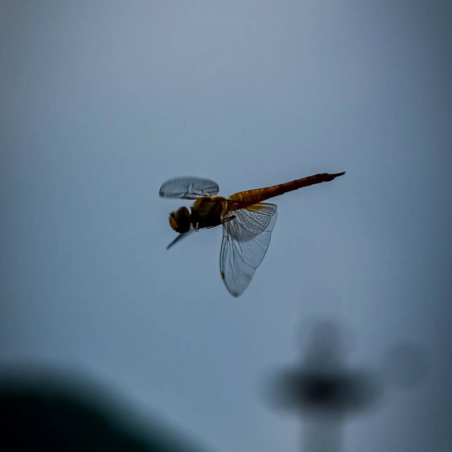 I'm empathetic to a fault. I really do embarrassingly enough - tear up when someone squishes a bug i
