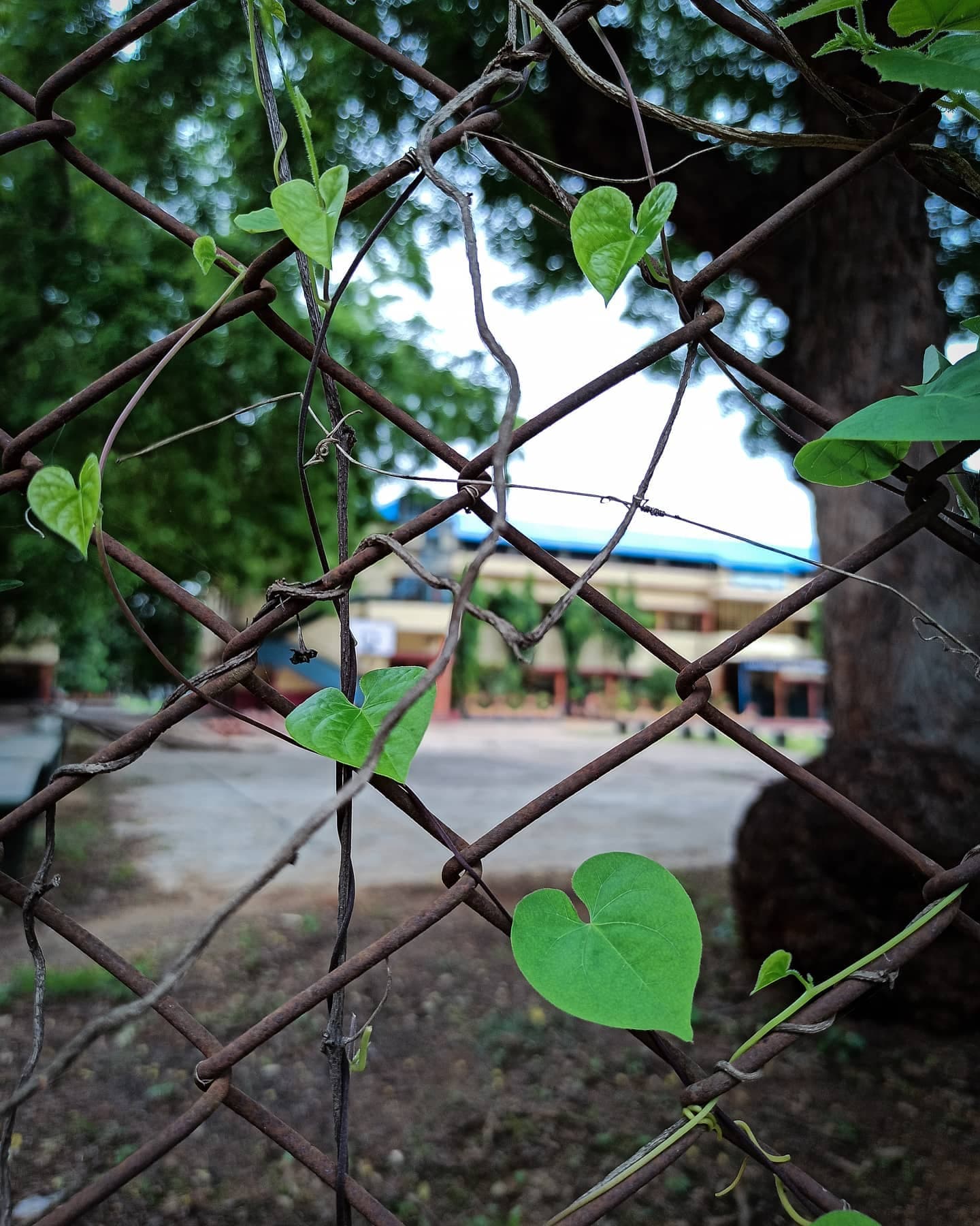 Photography is all time good vibe